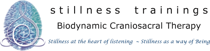 Stillness Trainings